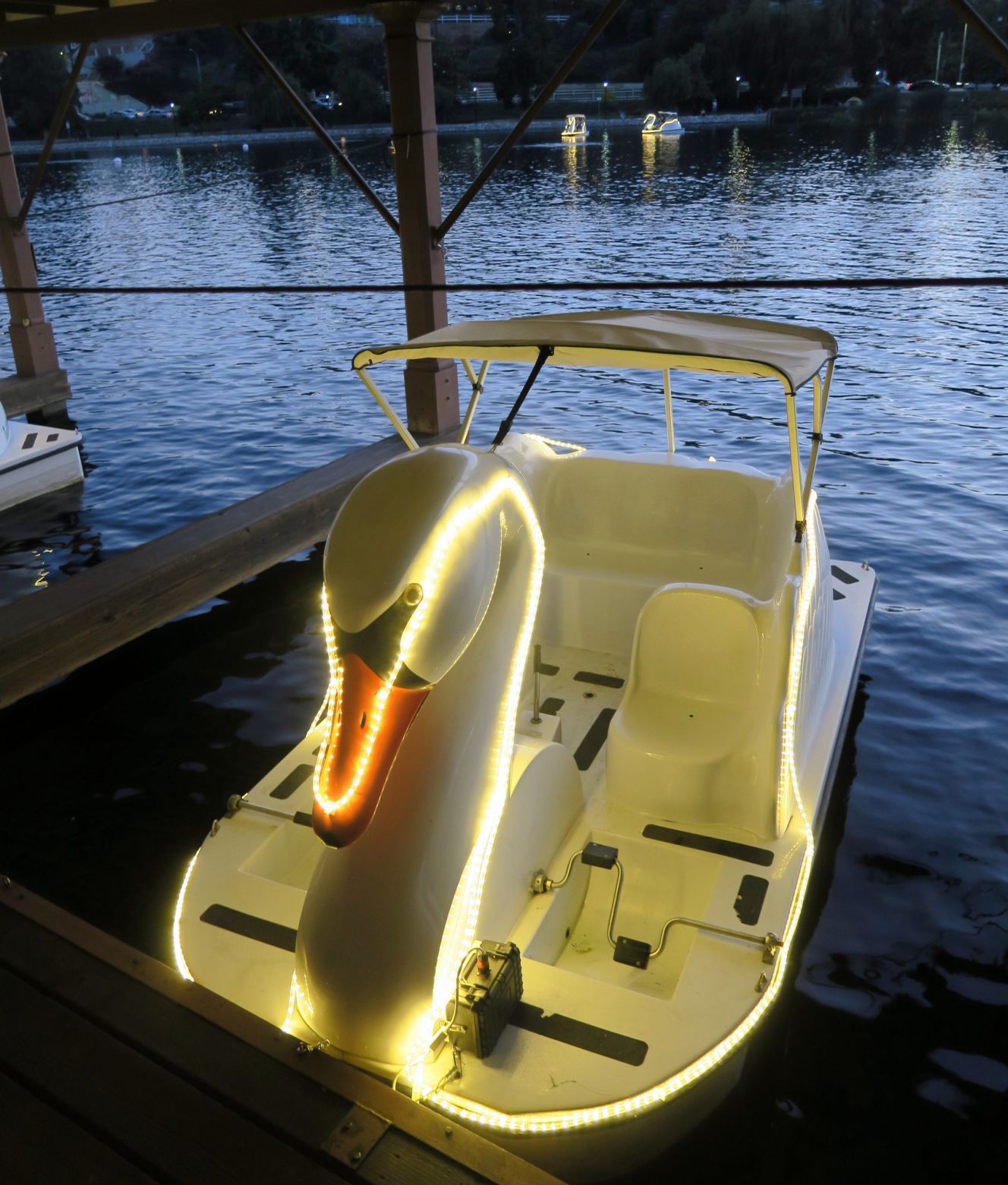 Echo Park Lake Swan Boats with lights 6-22-2019 8-46-24 PM.JPG